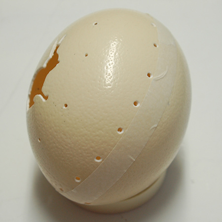 Easter Lace Eggs - with Ostrich Eggs!