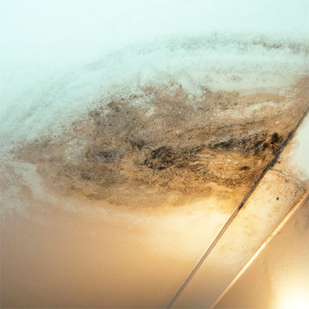 Quick Tip: Get rid of ceiling mould