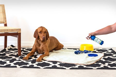 Protect against mildew and mould