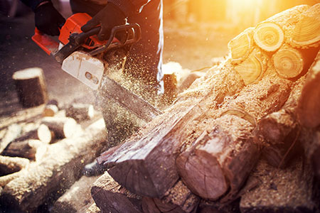 WoodEX 2018 - Timber Trade Expo