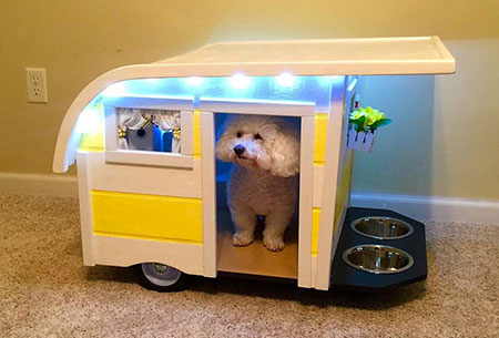 Bed and Bowl Stand in One