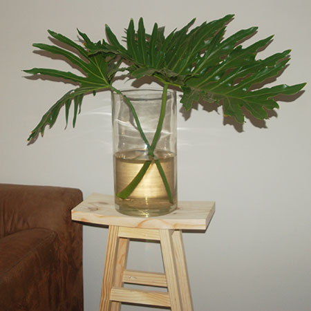 This pine plant stand allowed me to work out all the kinks and refine the design before making the stools - and I love the plant stand!