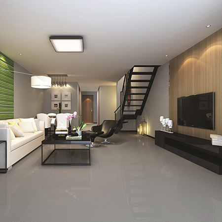 Silver Brilliante: A polished light grey surface consistently speckled with small brown, grey, white and silver flakes