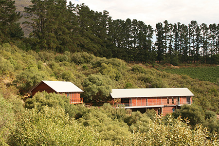 A hidden gem on the slopes of the Helderberg