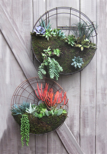 turn an old fan into a colourful planter