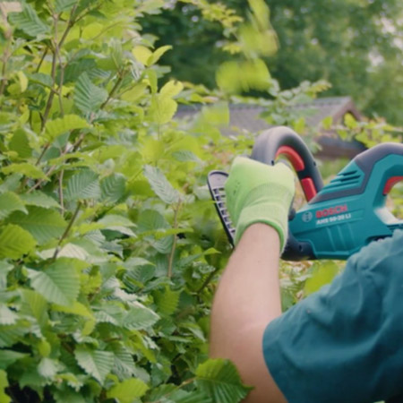  trim the top of the hedge
