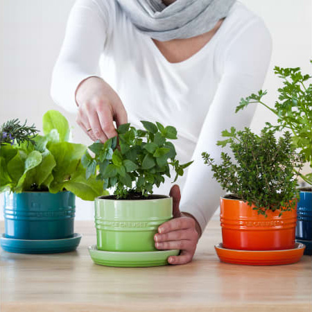 le creuset herb planter