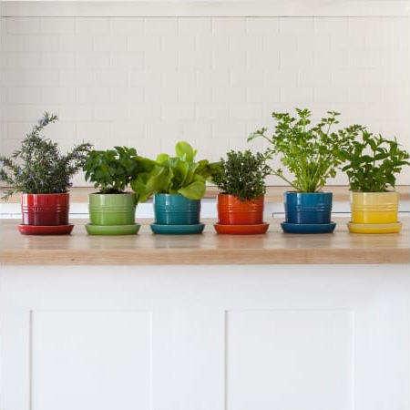 le creuset herb planter