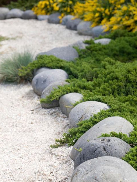 soften edges of rock edging with groundcover