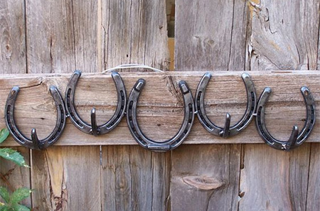 horseshoe coat rack