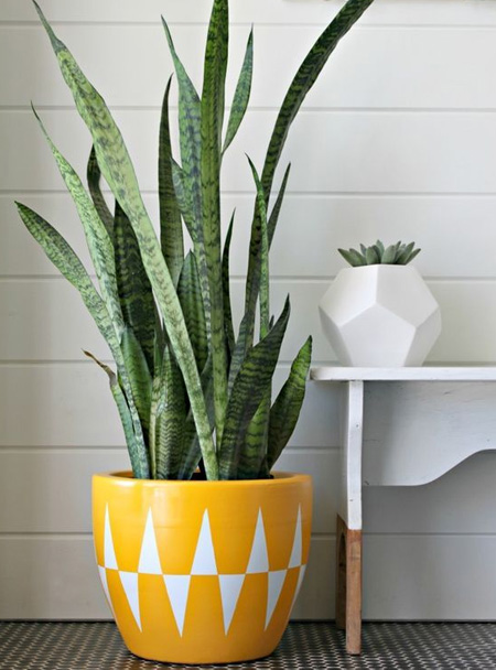 paint flower pots and containers