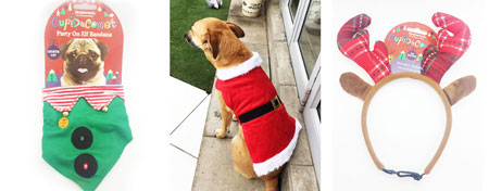 gifts for the pet lover