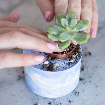 make colourful concrete planters