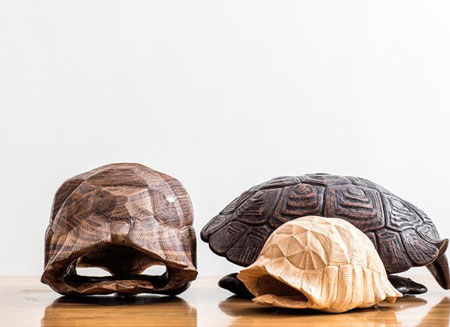wiid design tortoise