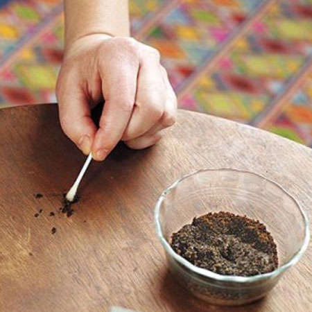 coffee grounds repair scratched furniture