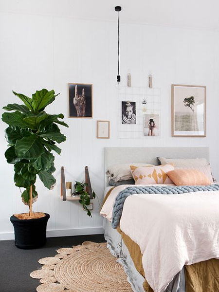 plants for a bedroom