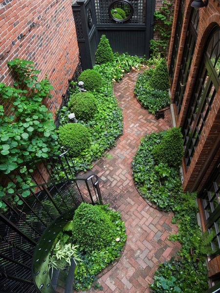 plants and foliage soften hard walls