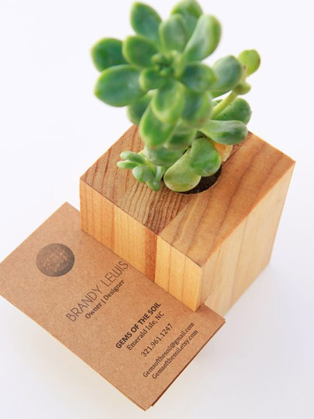 plant and business card holder