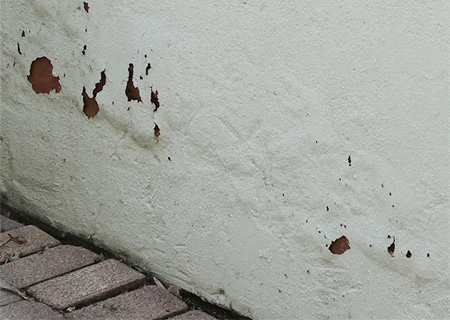 deal with exterior damp