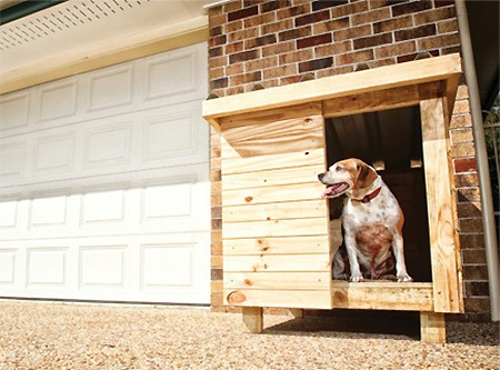 Home Dzine Diy Build A Dog Kennel, How To Build A Dog Kennel In Your Garage
