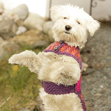 make knitted dog coat