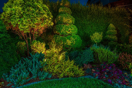 tips for lighting garden