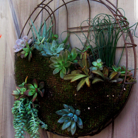 turn old fan into planter