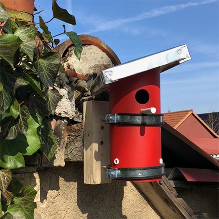 pvc pipe birdhouse