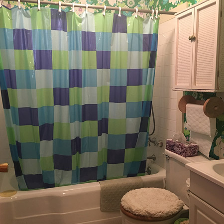 downstairs bathroom had wallpaper from the seventies