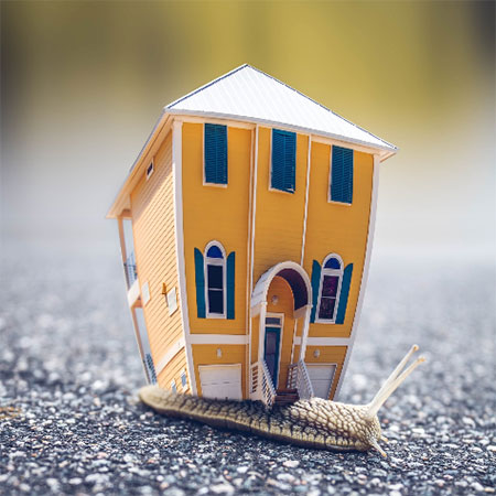 hire moving services company