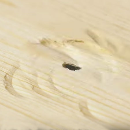 use hot glue on hammer to stop damage to wood