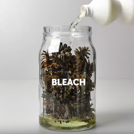 Bleached Pine Cone Wreath