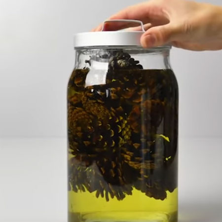 Bleached Pine Cone Wreath