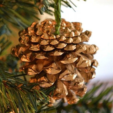 gold pine cones
