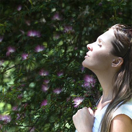 best air purifiers