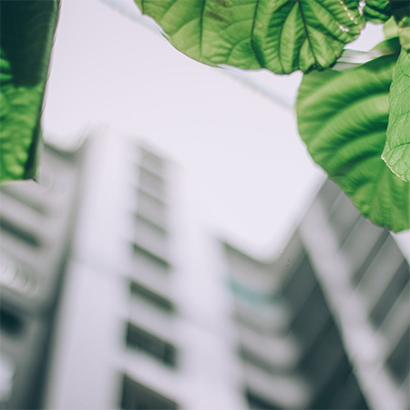 Saint-Gobain welcomes government commitment to embrace green buildings and sustainability.