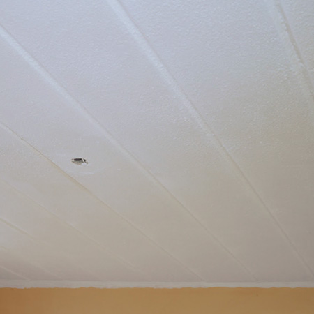 review fired earth ceiling paint
