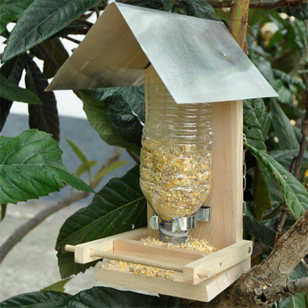 make a bird feeder