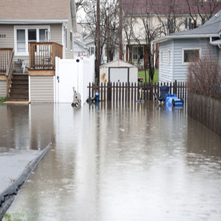 flooded garden