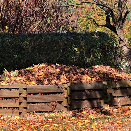 add leaves to compost heap