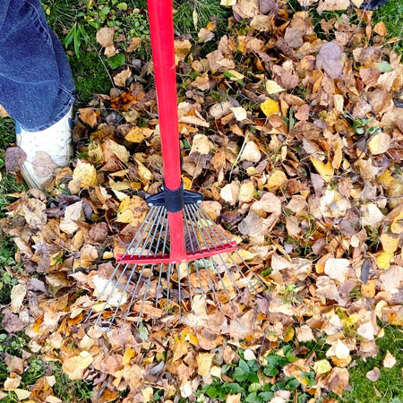 leaf mulch for gardens