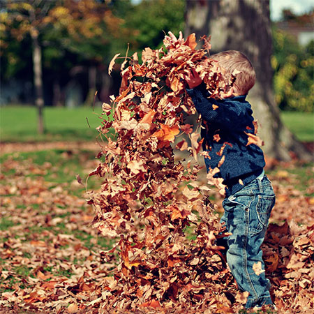 leaves are good for gardens
