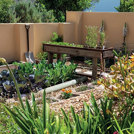 Turn your lawn into a Sustainable Garden