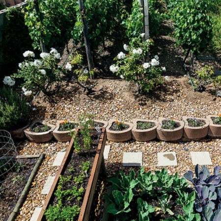 design sustainable vegetable garden