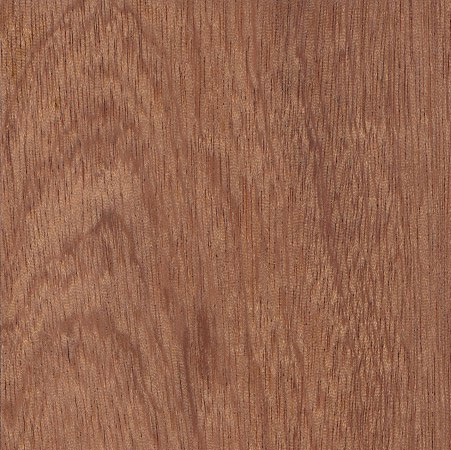 sapele at builders warehouse