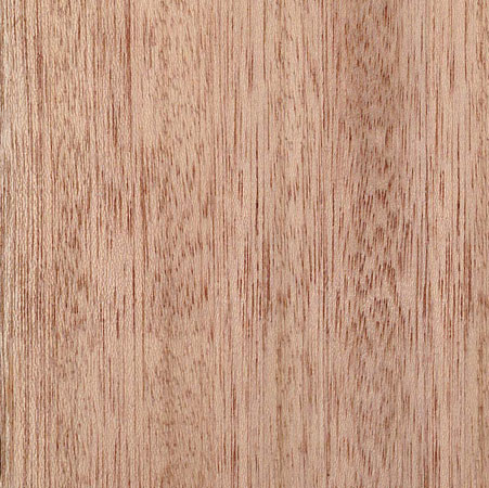 meranti for wood countertops