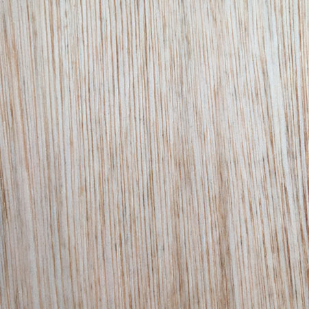 saligna at builders warehouse