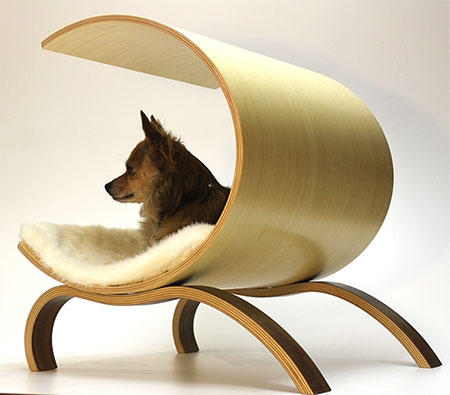 supporting local designer and pet rescue groups