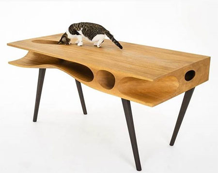 supporting local designer and pet rescue groups