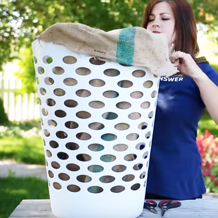 strawberry planter in laundry basket